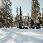 ホテル ラップランド ホテルズ ルオストトゥントゥリ ＆アメジスト スパ 4*