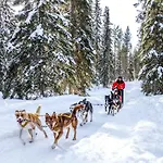 ホテル ラップランド ホテルズ ルオストトゥントゥリ ＆アメジスト スパ ルオスト