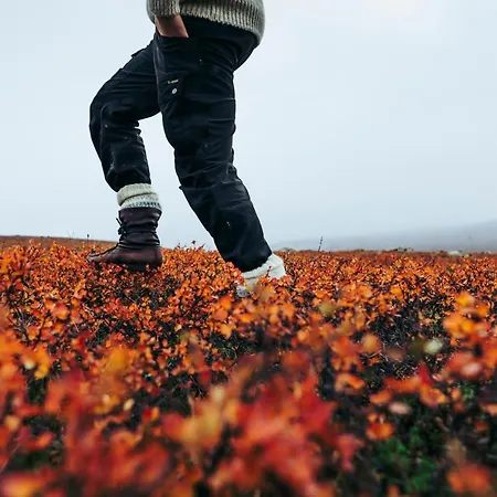 호텔 Lapland Luostotunturi & Amethyst