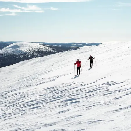 Lapland Luostotunturi & Amethyst Luosto