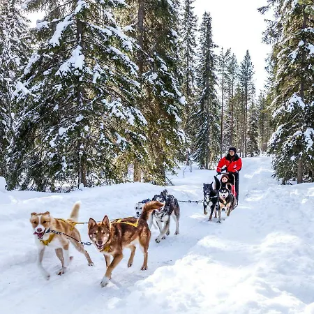 Hotel Lapland Luostotunturi & Amethyst Luosto