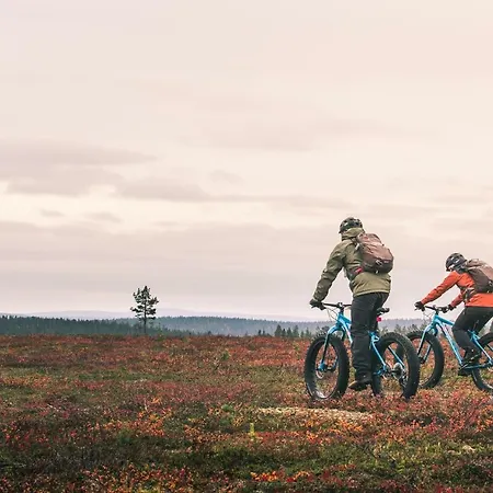 Lapland Luostotunturi&amethyst