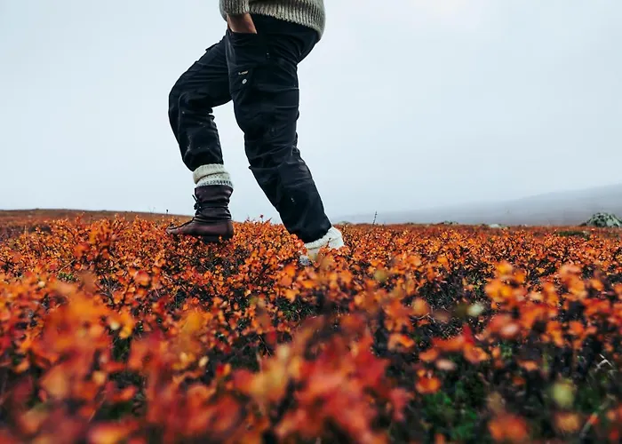 Otel Lapland Luostotunturi & Amethyst