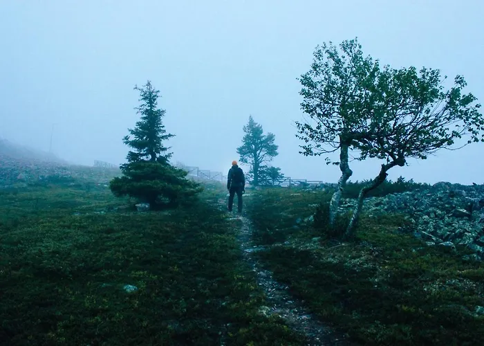 Otel Lapland Luostotunturi & Amethyst Luosto