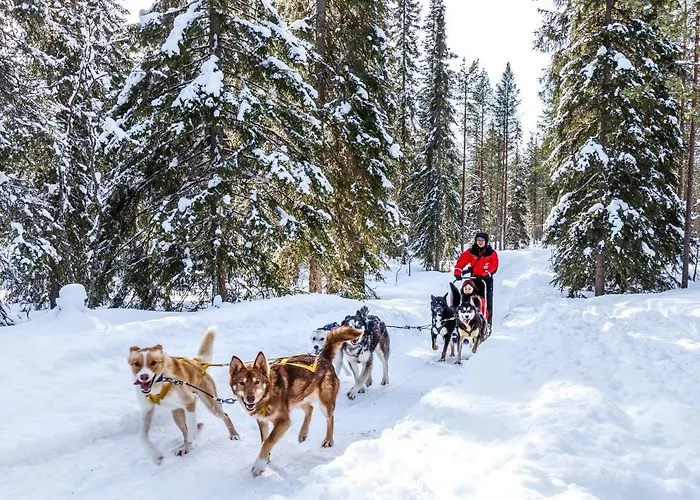 Otel Lapland Luostotunturi & Amethyst Luosto